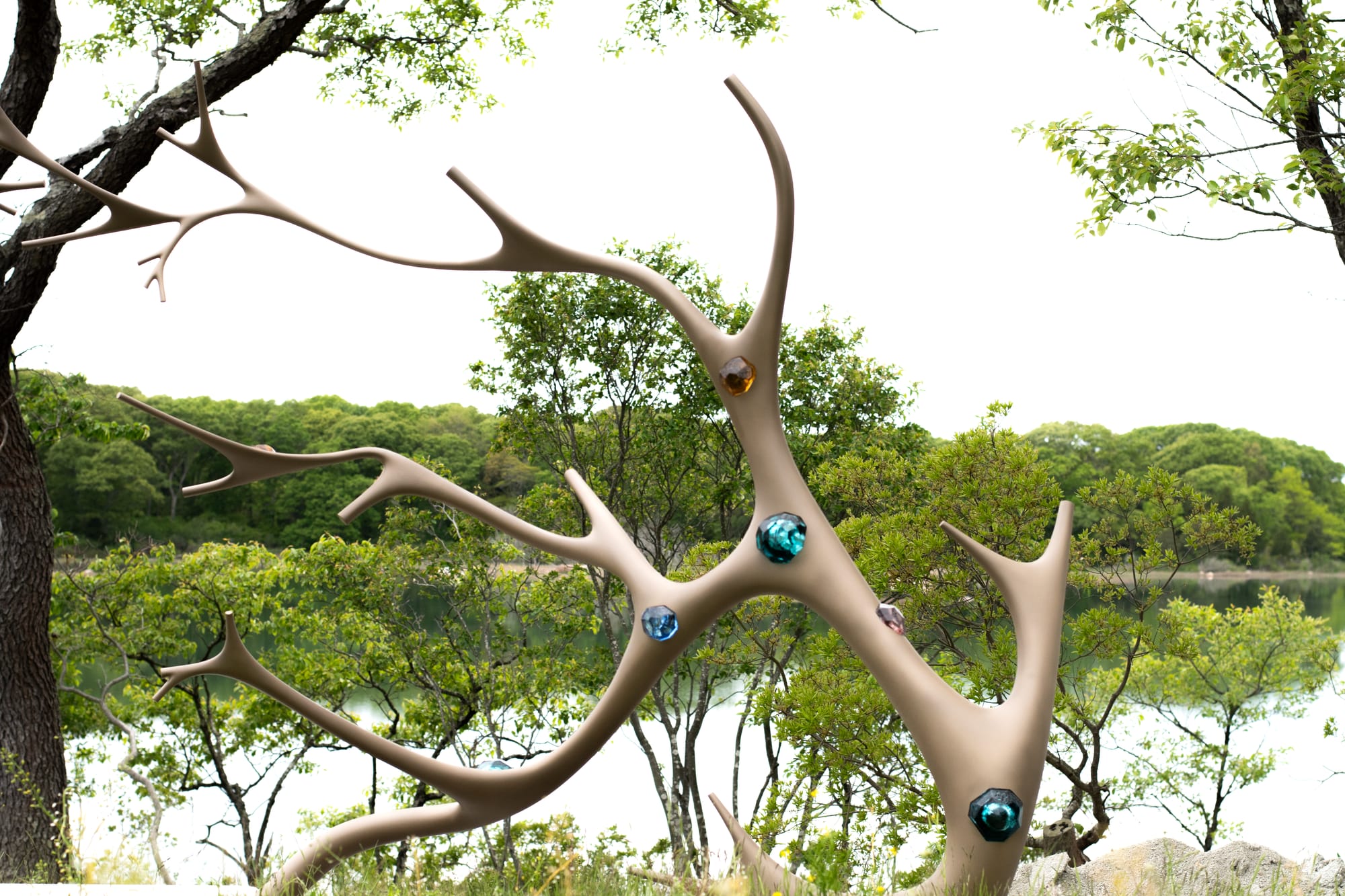 Hugging Tree bench