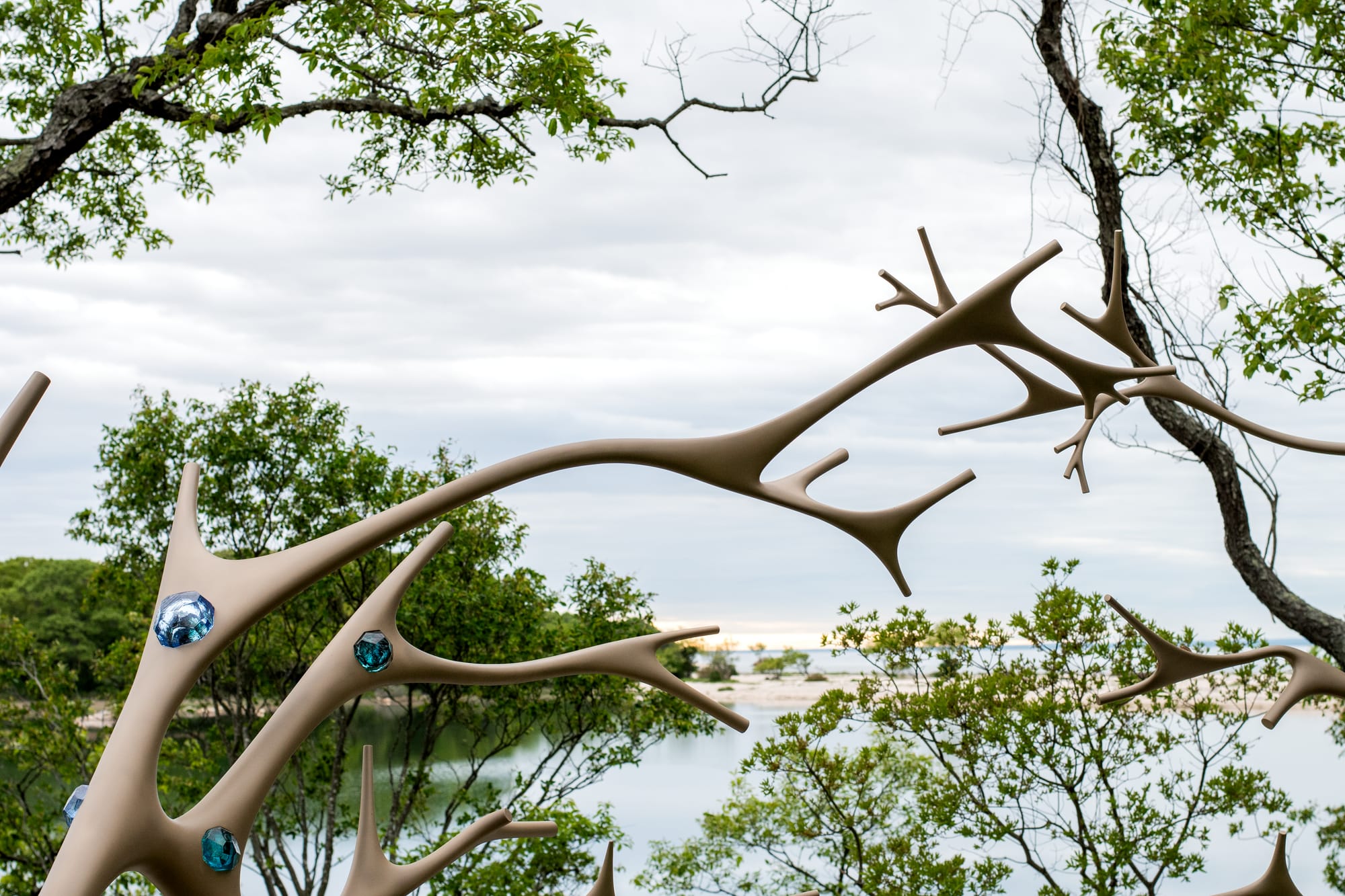 Hugging Tree bench